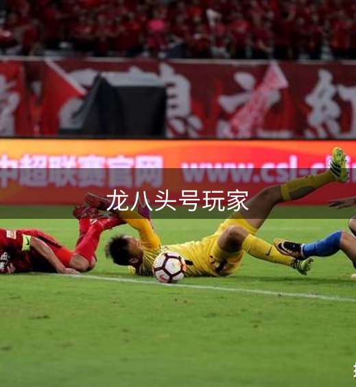 龙八头号玩家简介